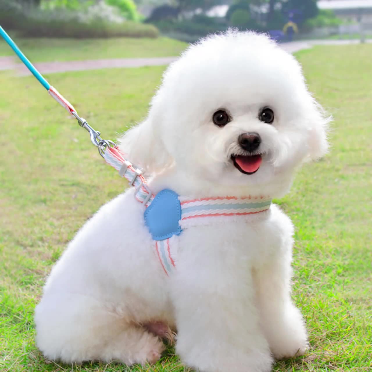Reflective Retractable Pet Leash For Safe Outdoor Walks