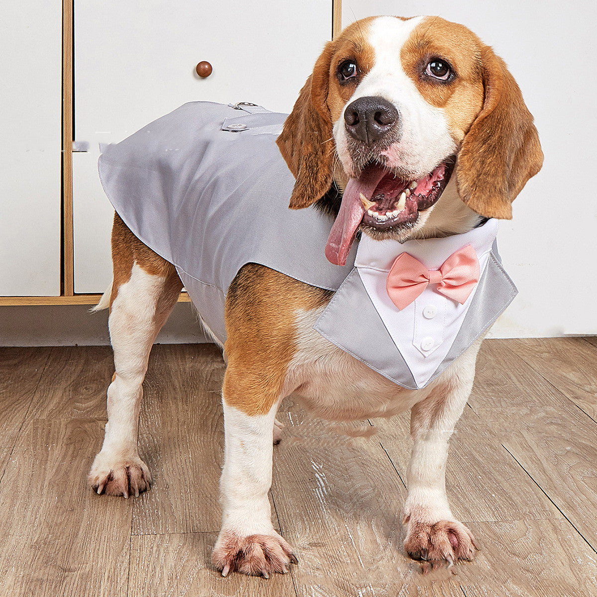 def63c7604a33c08f9e143ed1a82a44a