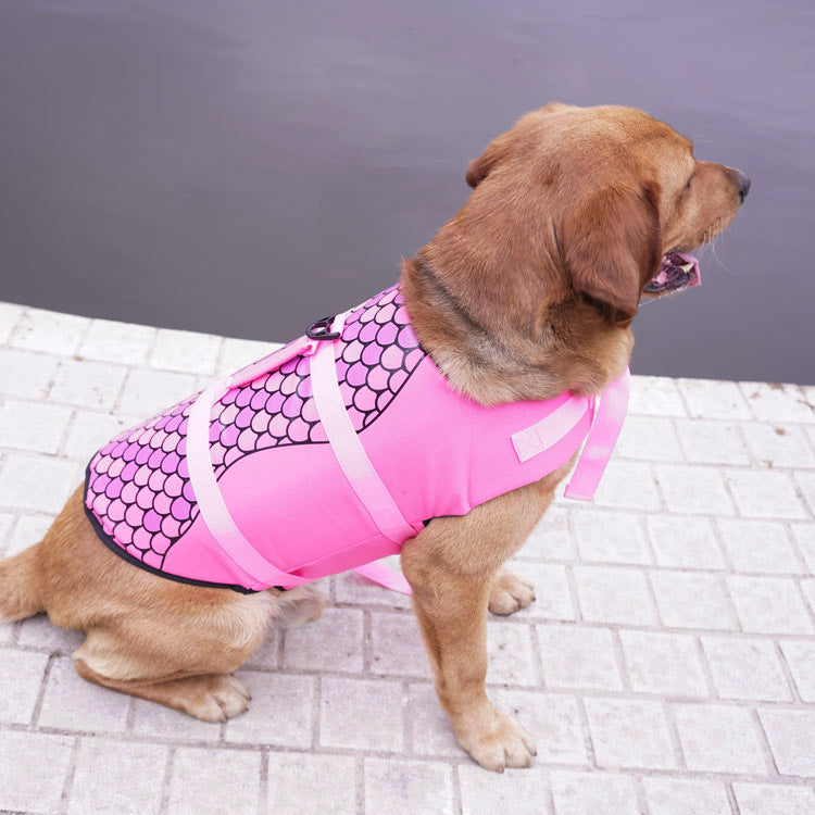 ff2864432919cfc824712c68ffc92fce